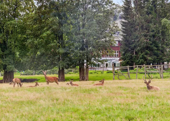 Сasa de vacaciones Stunning In Oberharz With Wifi